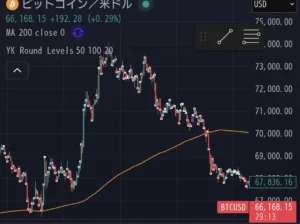 2026年3月 ビットコイン前回高値を割る、個別株も弱い